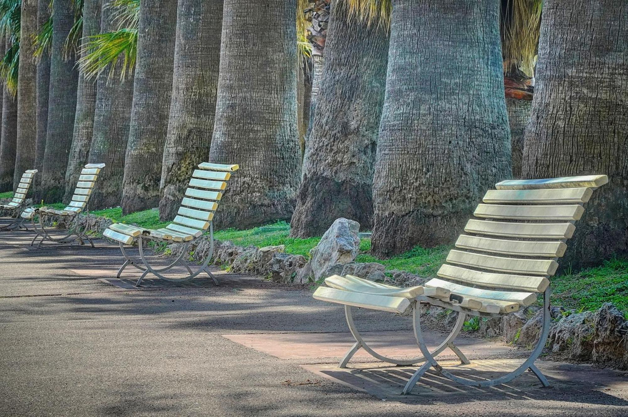 Le Palm - 100M Plage - Croisette - Verriere Cote D'Azur Cannes Eksteriør billede