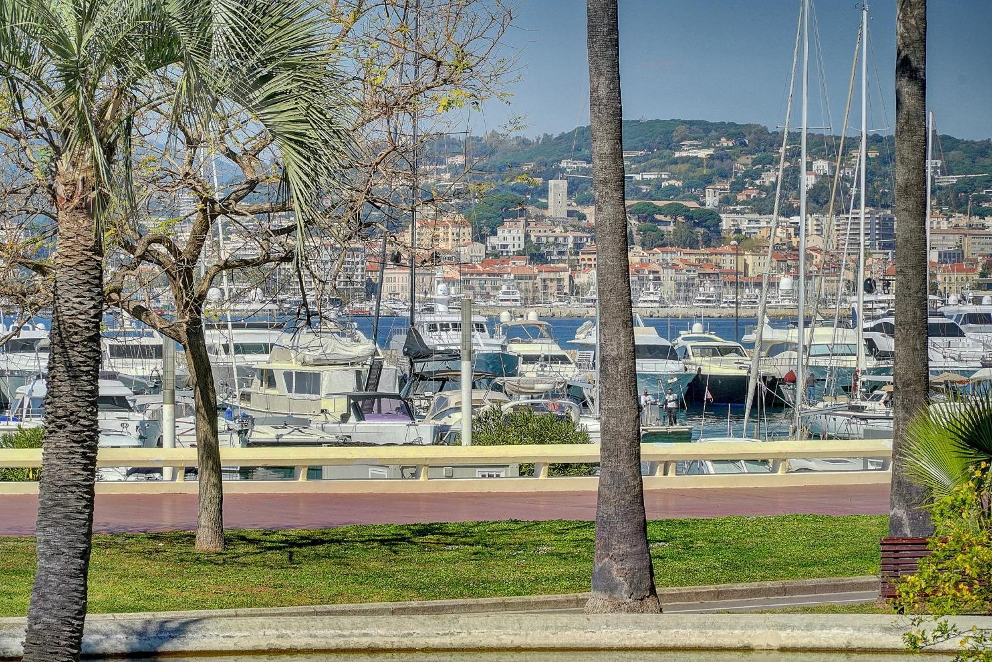 Le Palm - 100M Plage - Croisette - Verriere Cote D'Azur Cannes Eksteriør billede
