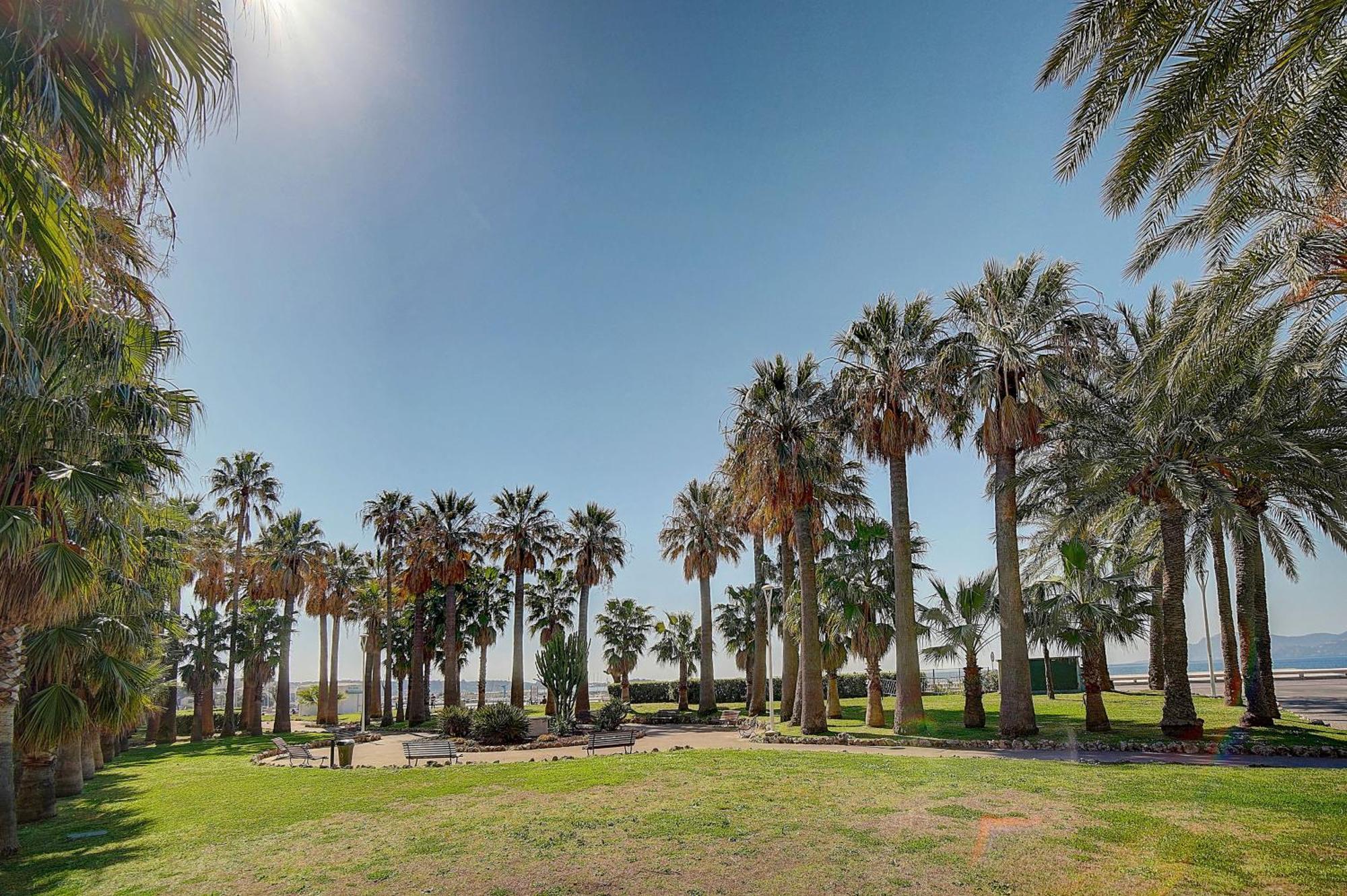 Le Palm - 100M Plage - Croisette - Verriere Cote D'Azur Cannes Eksteriør billede